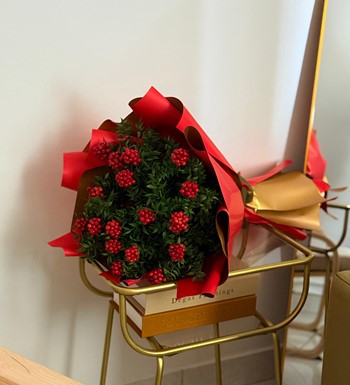 kokinabuketi, ankarakokina, kokinaçiçeği, enkalitelikokina